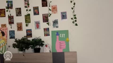 Daryl  online show from 18, 1, 2026