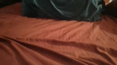 Plague Cockter online show from 24, 2, 2026