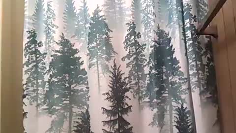 SEX ADDICTION WANNA MEET online show from 12, 12, 2024