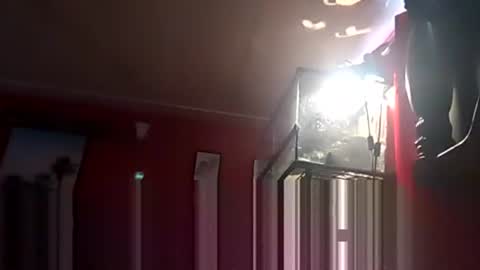 SEX ADDICTION WANNA MEET online show from 19, 12, 2024