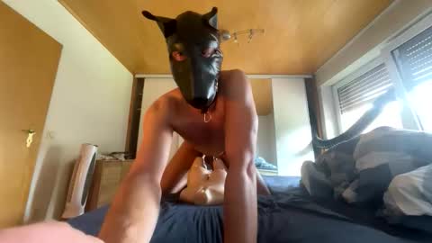 playdog123 online show from 21, 9, 2025