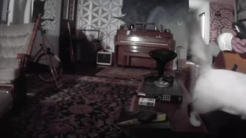 playerpleasure online show from 25, 7, 2026