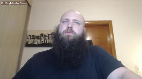 Bear online show from 2, 4, 2026