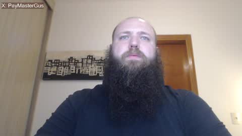 Bear online show from 13, 4, 2026