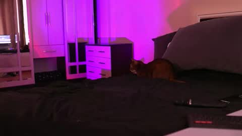 Snapshot of polusladkoye chatting on 17, 9, 2025 Megan.online online show from 17, 9, 2025