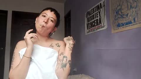 Poly online show from 7, 12, 2024