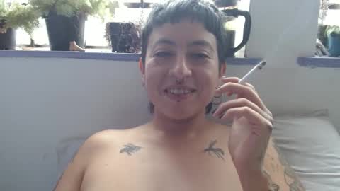 Poly online show from 21, 12, 2024