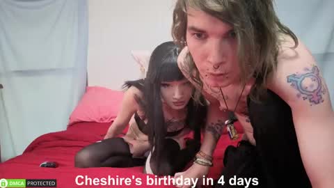 Cheshire  Bee online show from 5, 6, 2026