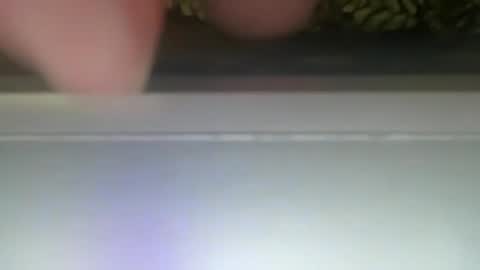 Snapshot of ponchynyc chatting on 30, 12, 2024 PONCH online show from 30, 12, 2024