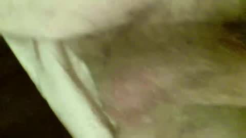 OD online show from 26, 11, 2025