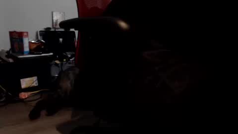 porkdaddy online show from 9, 9, 2025