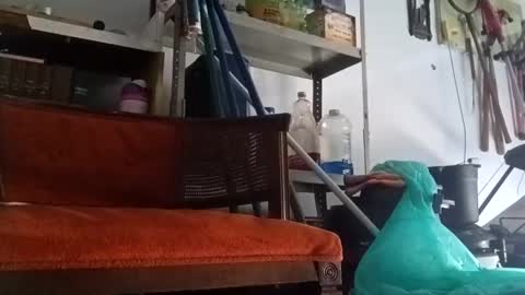 PipeLayerPlayer007 online show from 14, 9, 2025