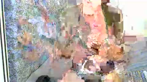 Charming pie online show from 11, 2, 2025
