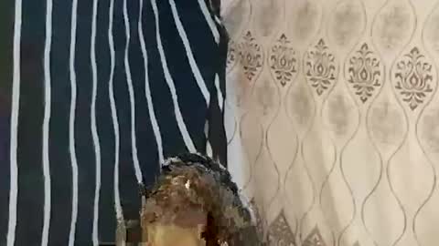 Snapshot of pretty705007 chatting on 21, 3, 2026 pretty705007 online show from 21, 3, 2026