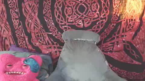 stacy online show from 21, 4, 2026