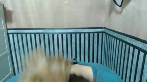 Kate online show from 2, 12, 2025