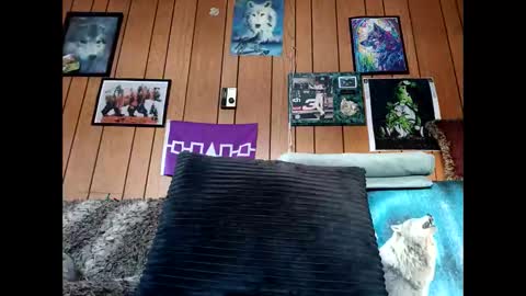 prettysolid7 online show from 6, 2, 2026