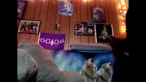 prettysolid7 online show from 9, 2, 2026