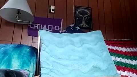 Snapshot of prettysolidd7 chatting on 4, 12, 2024 prettysolidd7 online show from 4, 12, 2024