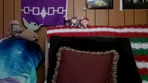 Snapshot of prettysolidd7 chatting on 4, 1, 2025 prettysolidd7 online show from 4, 1, 2025