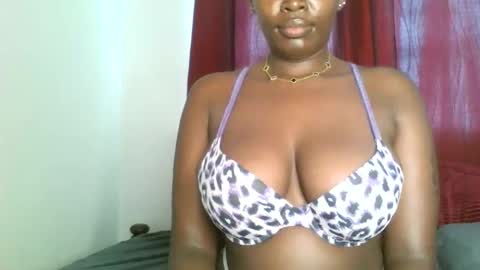 Snapshot of prettyvishy chatting on 23, 12, 2024 prettyvishy online show from 23, 12, 2024