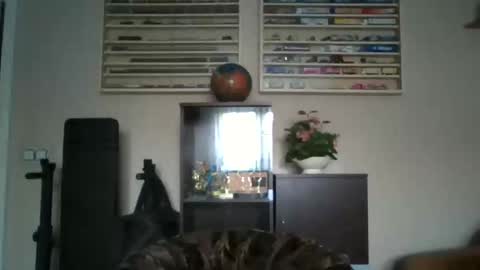 Don online show from 25, 2, 2026