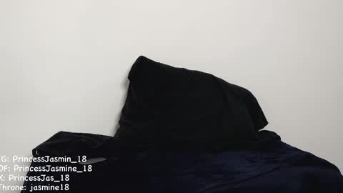 Snapshot of princessjasmine_18 chatting on 11, 2, 2025 Jasmine online show from 11, 2, 2025