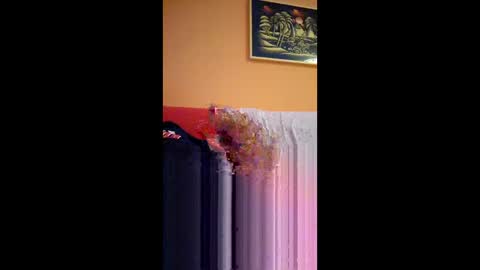 principino70 online show from 4, 6, 2026