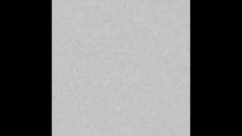 professorhushh online show from 9, 11, 2025