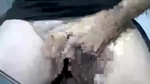 Snapshot of psfunman chatting on 16, 2, 2025 psfunman online show from 16, 2, 2025