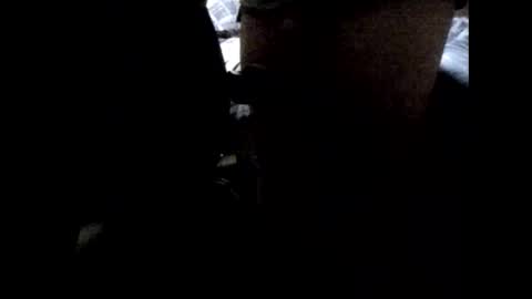 StefiTV1 online show from 3, 4, 2026