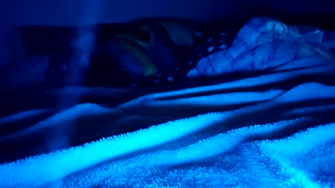 ptut82 online show from 15, 2, 2026