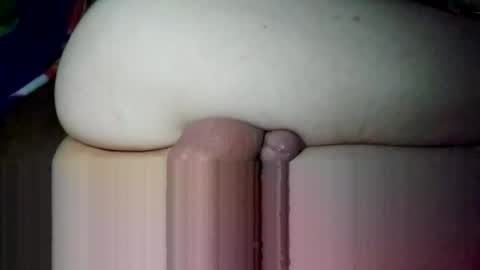 ptut82 online show from 23, 3, 2026