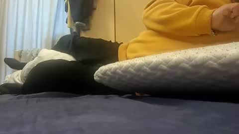 Pulp online show from 14, 1, 2025