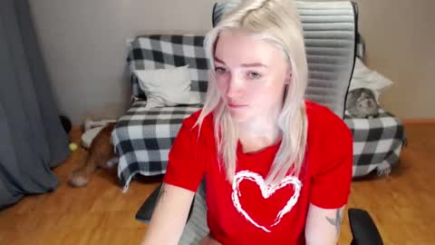 Polly online show from 12, 2, 2026