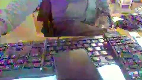 pup_y online show from 16, 12, 2025