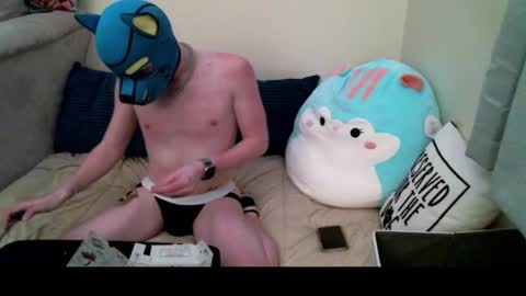 Pup Orion online show from 19, 12, 2024