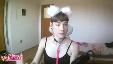 puppy_liza online show from 2, 6, 2026