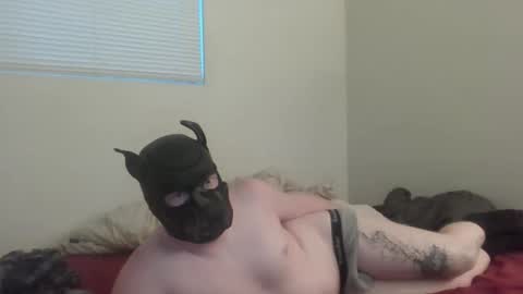 Snapshot of puptav chatting on 5, 3, 2026 puptav online show from 5, 3, 2026