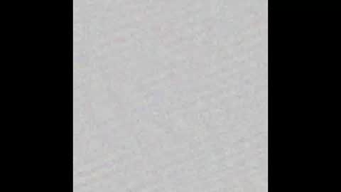 Puppers online show from 23, 2, 2025