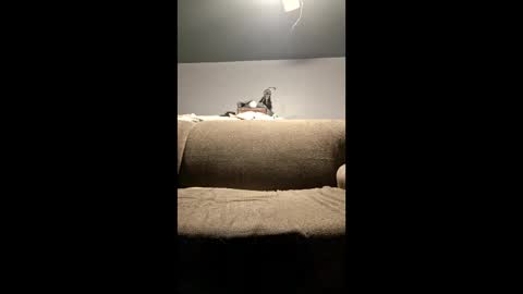 pussylicker517038 online show from 29, 4, 2026