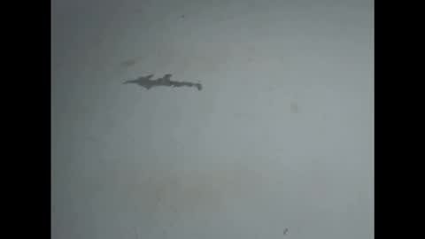 pussyxwetx online show from 27, 2, 2026