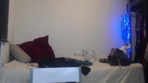 Nico online show from 5, 1, 2025