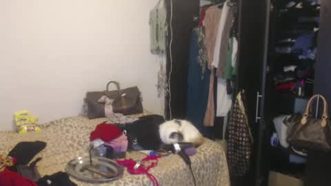 Nico online show from 13, 2, 2025