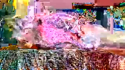 Snapshot of queenstonermami chatting on 2, 2, 2026 queenstonermami online show from 2, 2, 2026