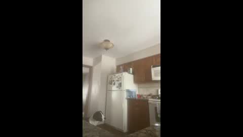 Snapshot of rabbi_poolnoodle chatting on 16, 1, 2026 rabbi_poolnoodle online show from 16, 1, 2026