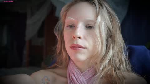 ada online show from 26, 5, 2026