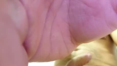 raidehot online show from 21, 10, 2025