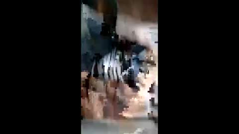 rakulgee1 online show from 4, 4, 2026