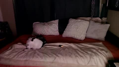 Snapshot of ramonaquinn chatting on 20, 12, 2024 RAMONA Q online show from 20, 12, 2024